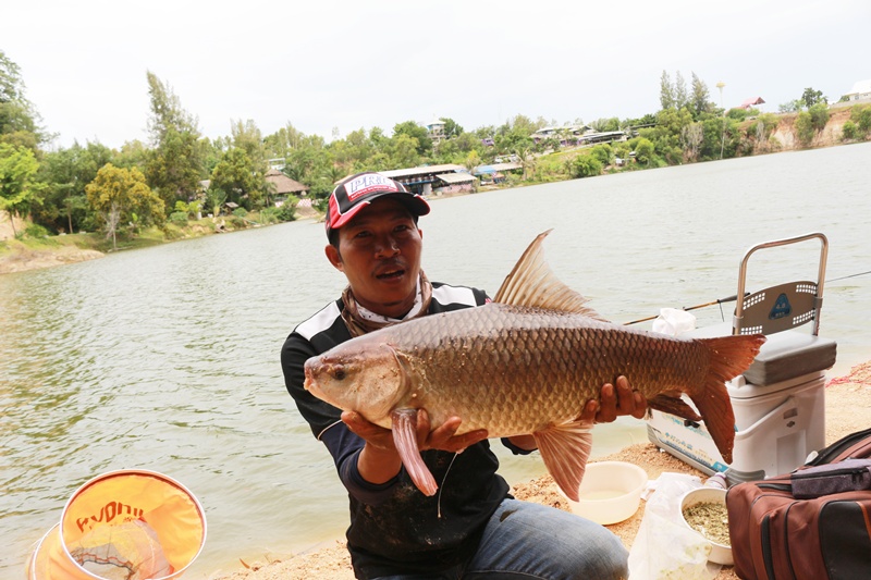 ไซร์แบบนี้ เพียบบบ