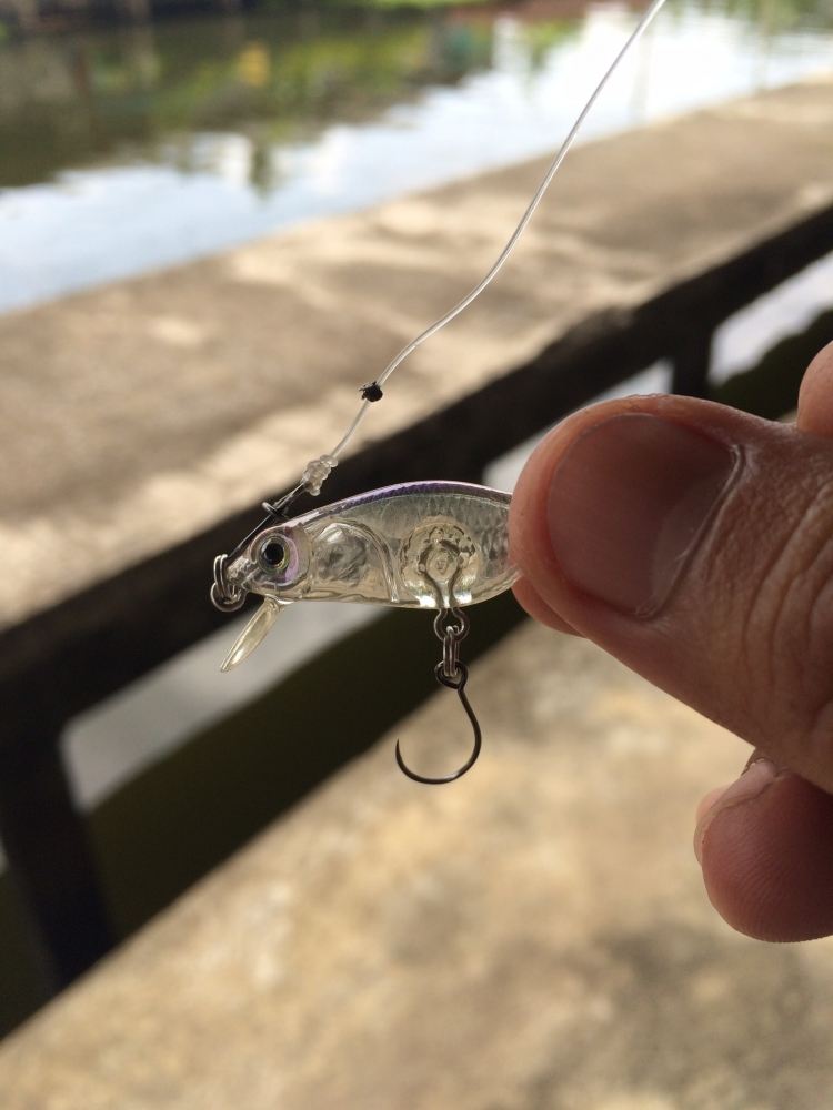 ลองเหยื่อไปเรื่อยๆ ครับ
เจ้า Megabass ตัวนี้จิ๋วมาก ตีแทบจะไม่ออก
ข้อเสียคือลอยน้ำครับ ไม่เวิร์ค
