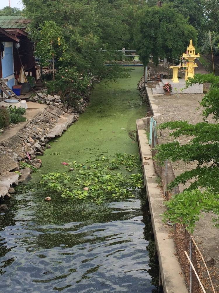 เดินป้อแป้มาเจอสามแยกนี้ 
ด้านในสวยมั่กๆ สำหรับสายหนอน
วันนี้ไม่มีหนอนมาครับ 
เหนื่อยก็ยังอยากตก.