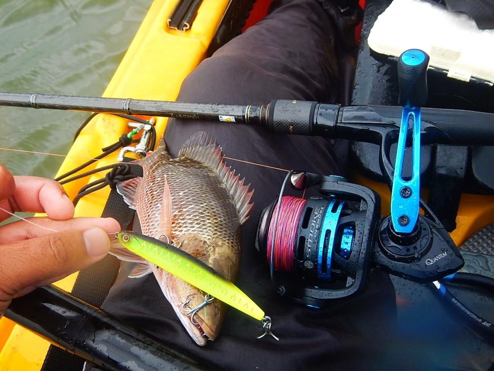 
 [center]Rod : HEARTY RISE  EVOLUTION NET-V 10-20 lb  
Reel : Quantum Smoke Inshore SL30PTs  
Re