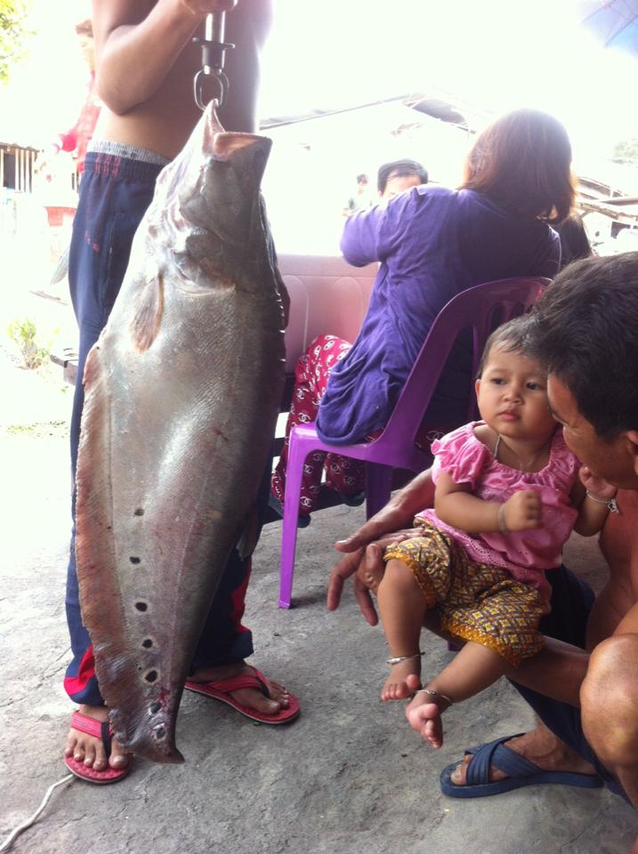 ตัวให่ขนาดไหนลองดู