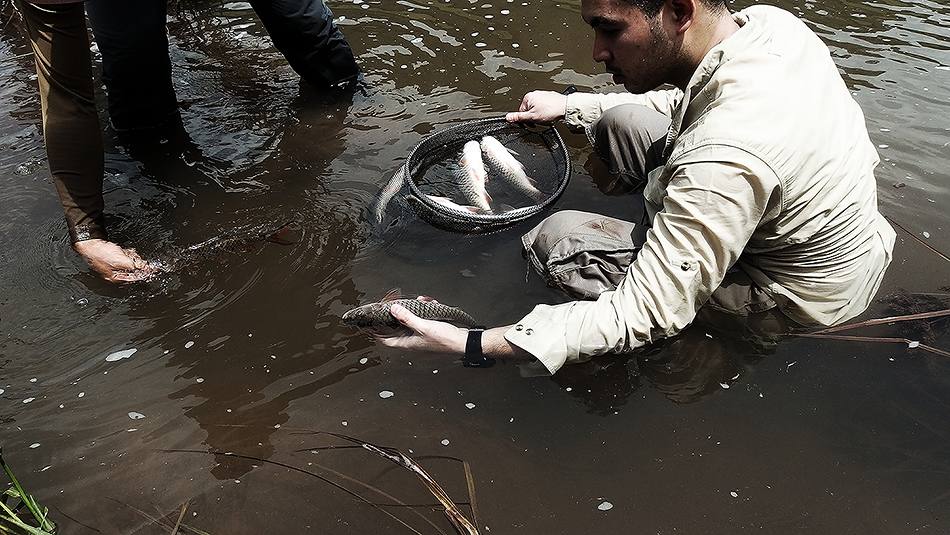 ______ Catch & Release " ผมเริ่มกันแล้ว...น้าเริ่มกันหรือยัง ?? "