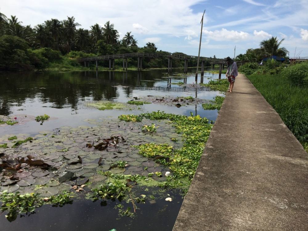 ข้ามสะพานไม้มา ยืนดูเจ้าถิ่นตีก่อน
เราทีมเยือนครับ เรียนรู้เทคนิคเค้ามั่ง

เผื่อจะรุ่ง :laughing: