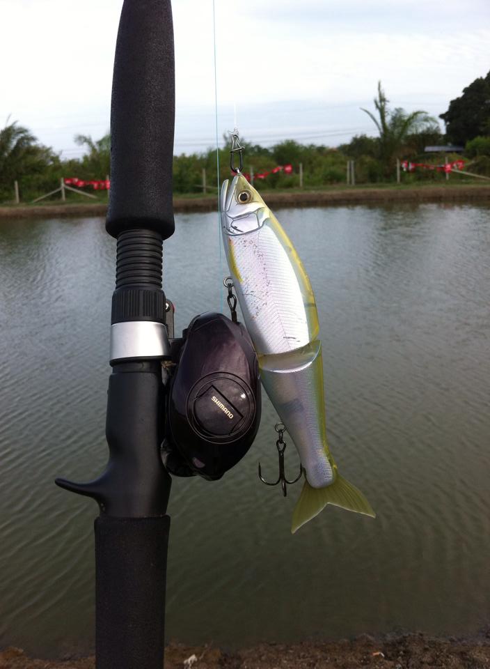 Barramundi, catch the impossible