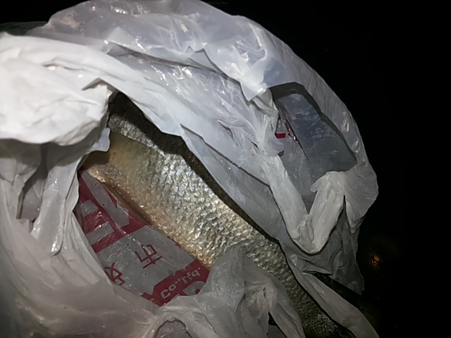 ทริปนี้..ซุป.เเมน..ได้ 2 ตัวครับ....พอใจเเหะ