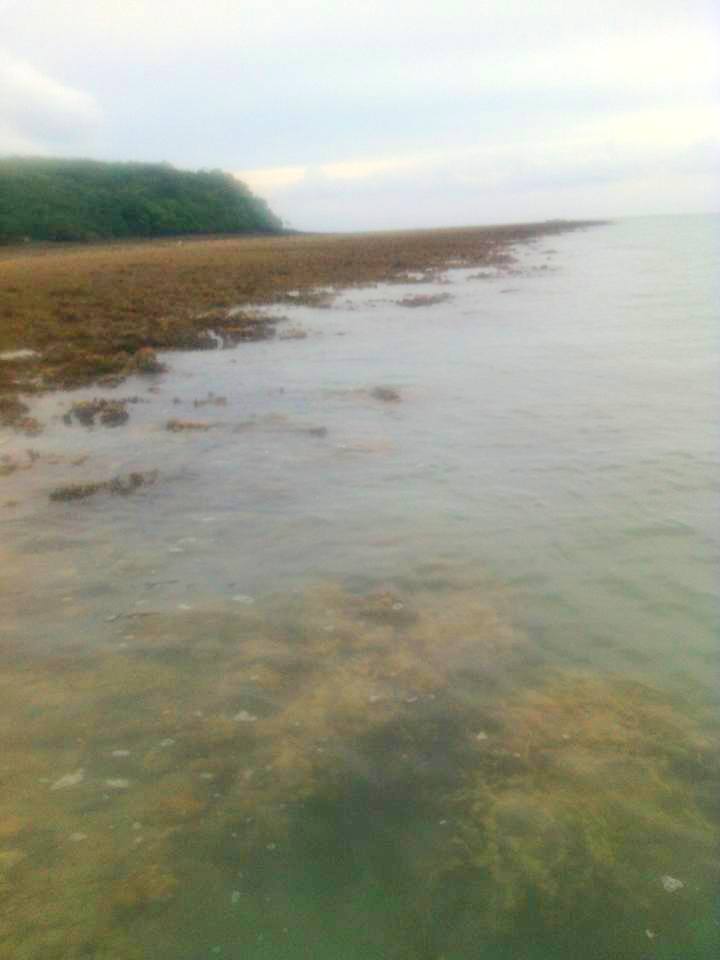 พอถึงจุดลงเรือได้ก็รีบจ้ำข้ามทะเลมาที่หมายเกาะ นาคา หมายเดิมที่เราเคยโดนพายุ จนกลับแทบไม่รอด แต่คราน