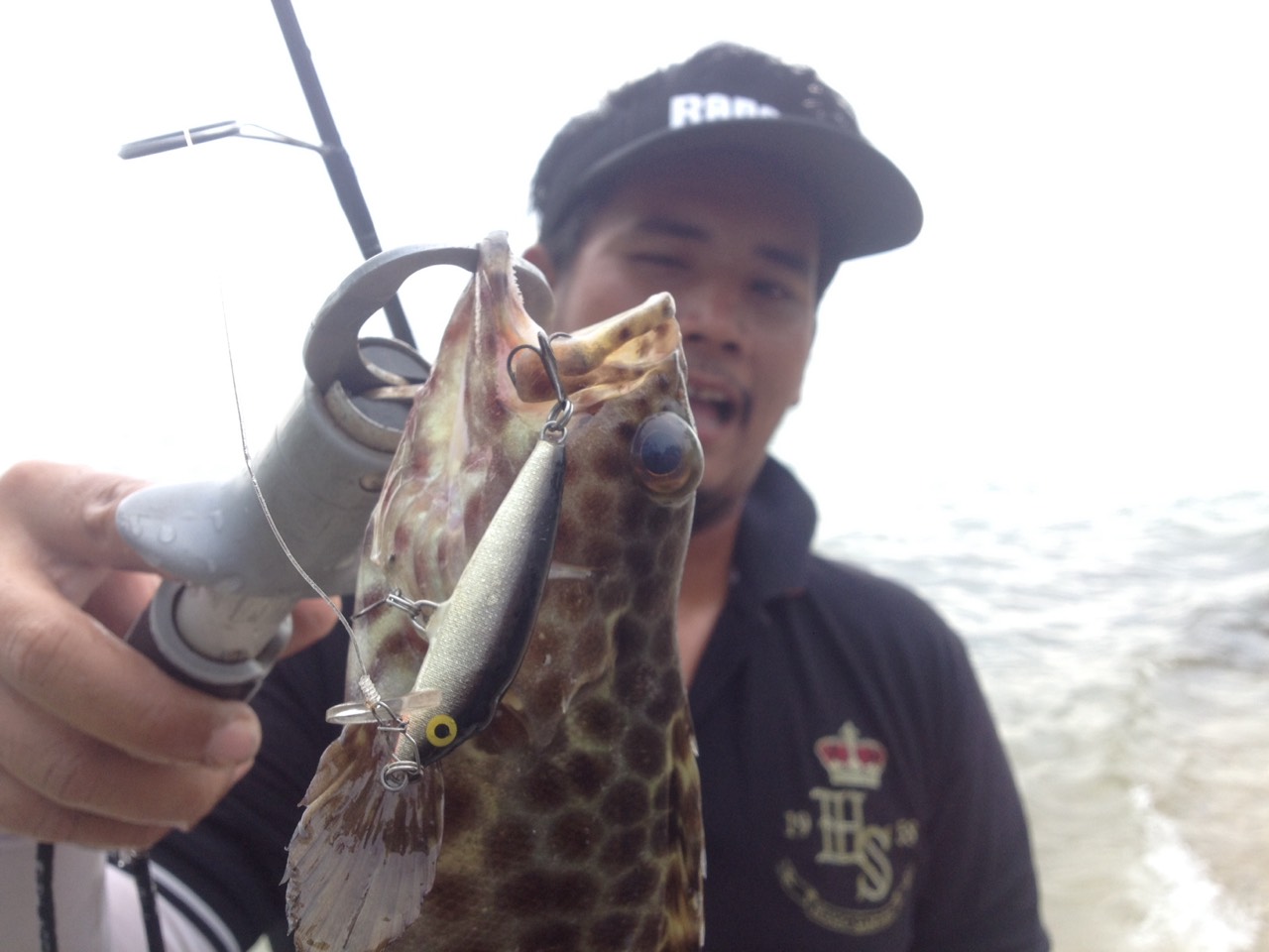 Rapala CD