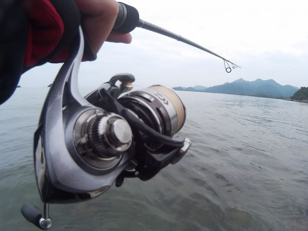 แอคชั่นคันเบ็ดผม...Rapala RFS สวดยอดจริงๆครับ :cheer: :cheer: :cheer: