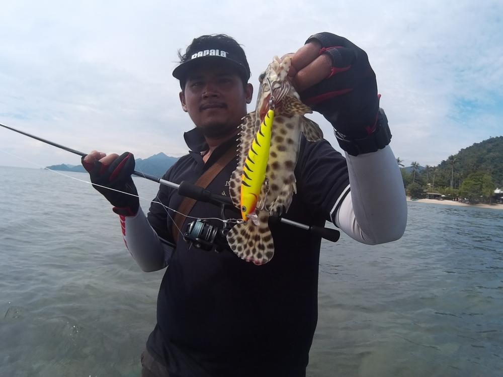 ผมและน้าเค  สอยปลาเก๋าชายฝั่งกันสนุกสนานเลยครับ
ขนาดใช้เหยื่อใหญ่...Rapala Flat Rap 10
ยังกัดได้นะ