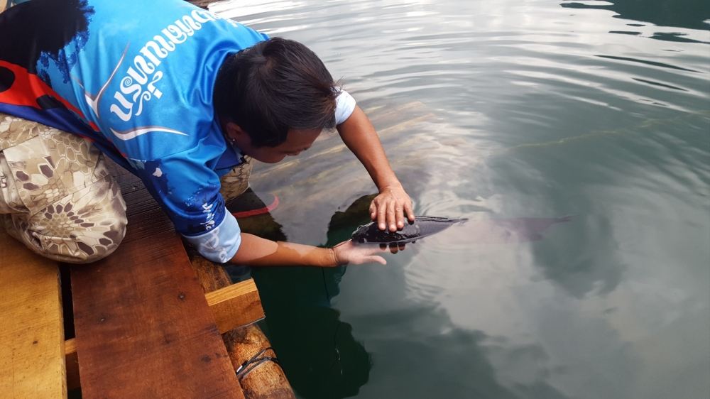  [b] พูดไม่ออก อธิบายไม่ถูกเลยครับ[/b] :love: