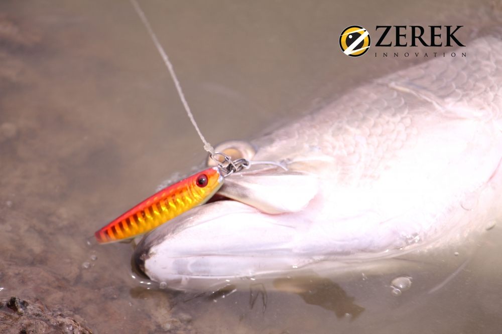 Surecatch Flasher Micro Jig  :blush: :blush: :blush: