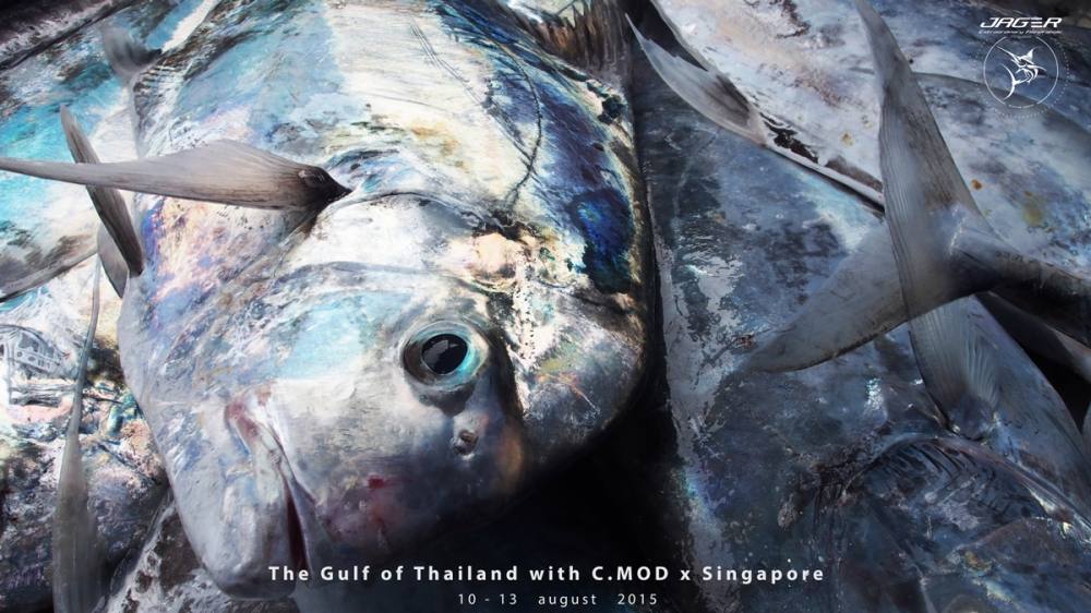 ส่วนนึงของปลาก่อนที่จะนำไปดองครับ

ผมลืมบอกครับว่าคนสิงค์โปร์

เรียกปลาโฉมงามว่า "Air Bag"

