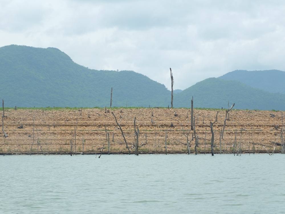 
เรือวิ่งอีก เกือบ 2 ชม ชมวิวก่อนนะ