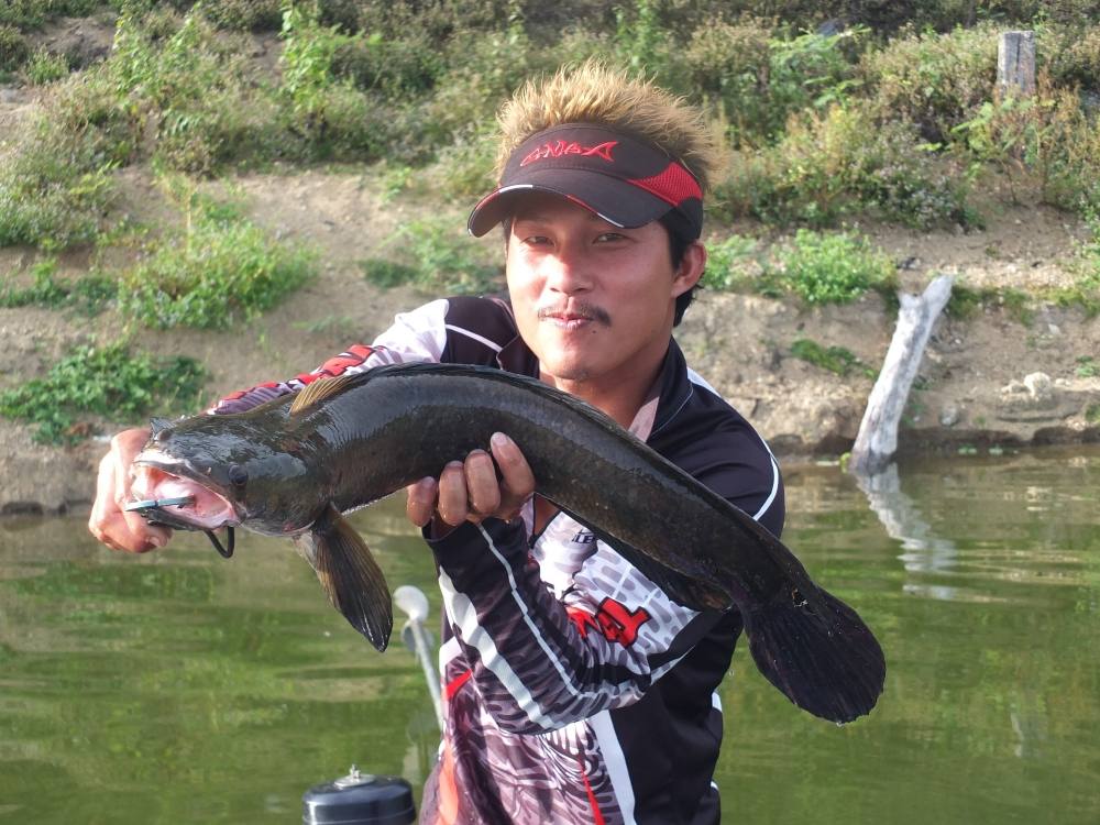 
จัดให้ ไต๋หมาย เหมือนเดิม  :grin: :grin: :grin:
