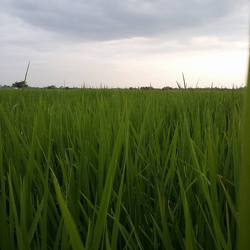 ถึงวันพักผ่อน...คิดว่าจะได้ตกปลาบ้าง