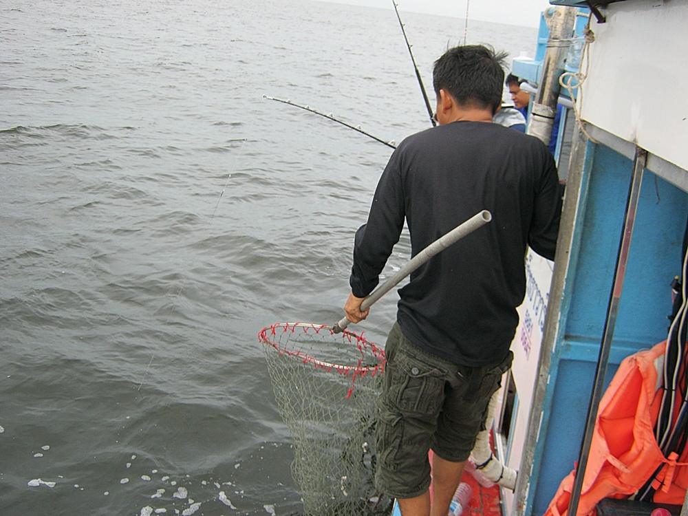 ด้านหลังเรือมีเสียง ปลาเข้ากินคันน้าหวัน ไต๋โห้ไม่รอช้าหยิบสวิงไปพร้อมตัก   :cheer: :cheer: :cheer: