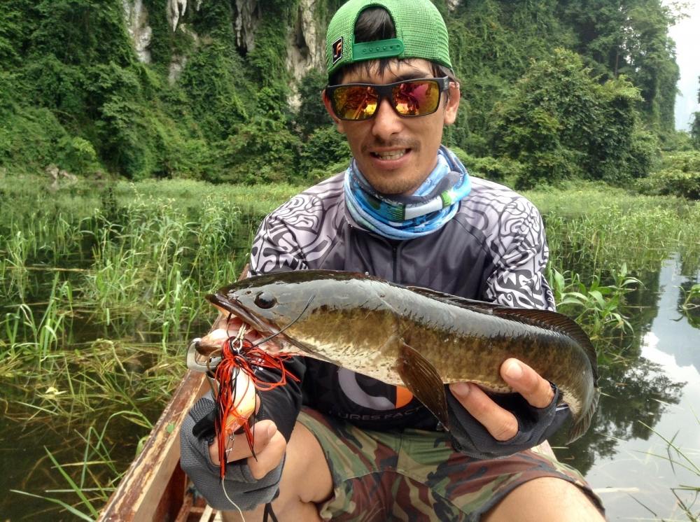            ช่อนที่นี่อ้วนจิงๆมีกับแกล้มแล้ว :laughing: :laughing: :laughing: :laughing: