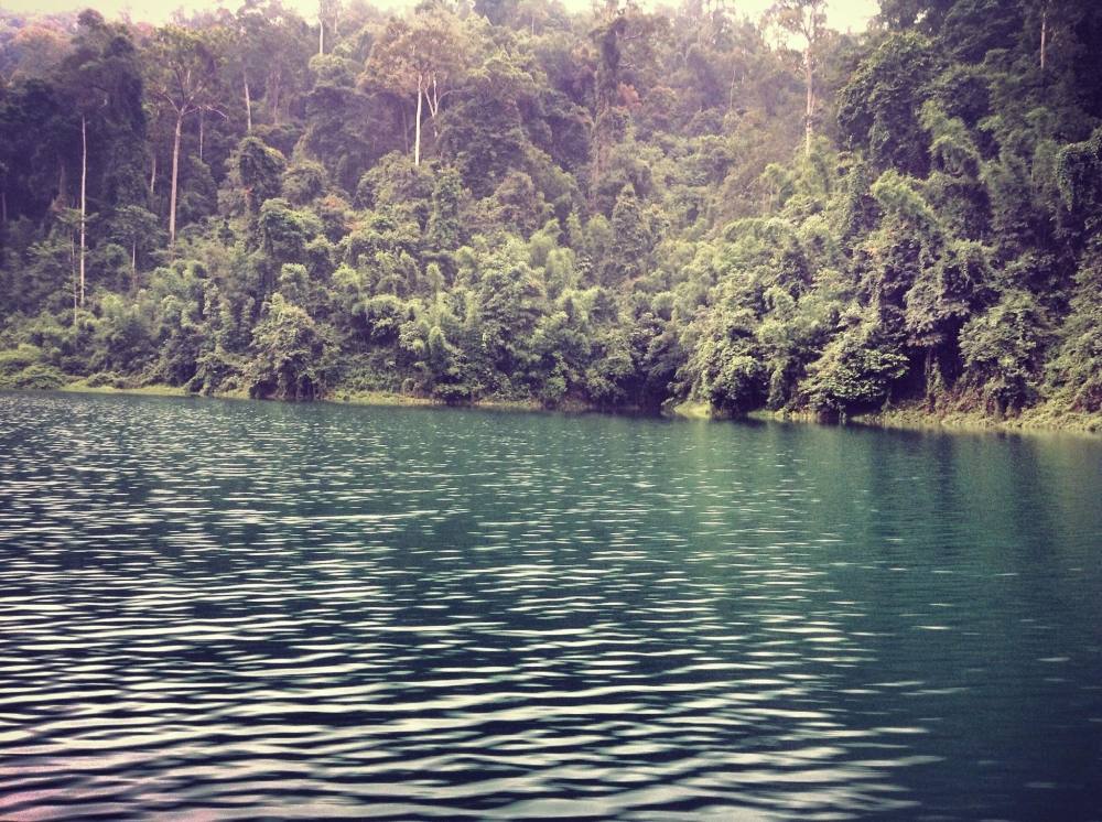         ระหว่างทางกลับท่าเรือครับ ที่เขื่อนแห่งนี้แทบจะไม่มีภูเขาหัวโล้นเลยครับ ป่าไม้เต็มไปหมดอุดมส