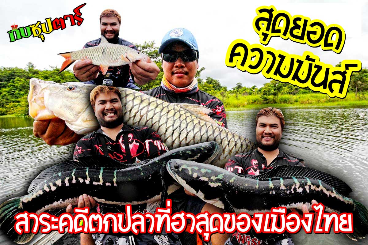 ตกปลาชะโดยักษ์และกระสูบยักษ์สุดมันส์