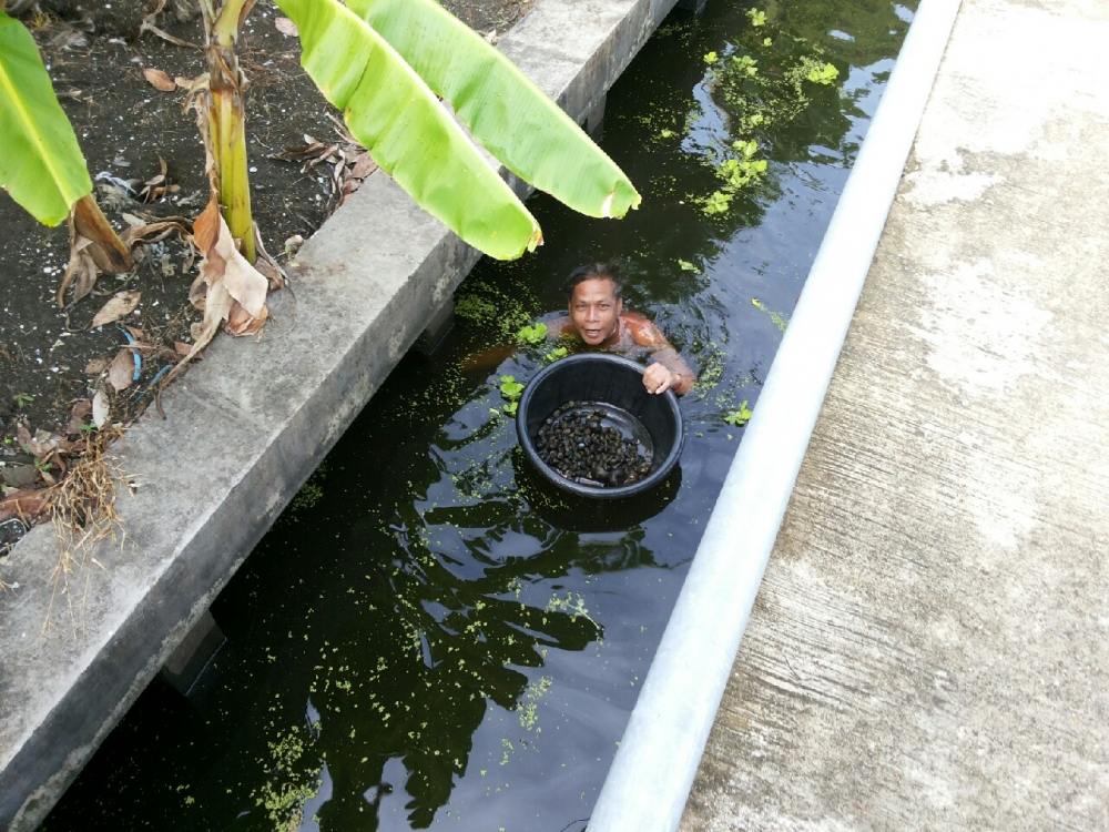 ผมได้เห็นการดำเนินชีวิตของชาวบ้านที่นี่ รู้เลยว่ามีความสุขแค่ไหน
อัธยาศัยดีครับ เจอคนแปลกหน้ามาตกปล