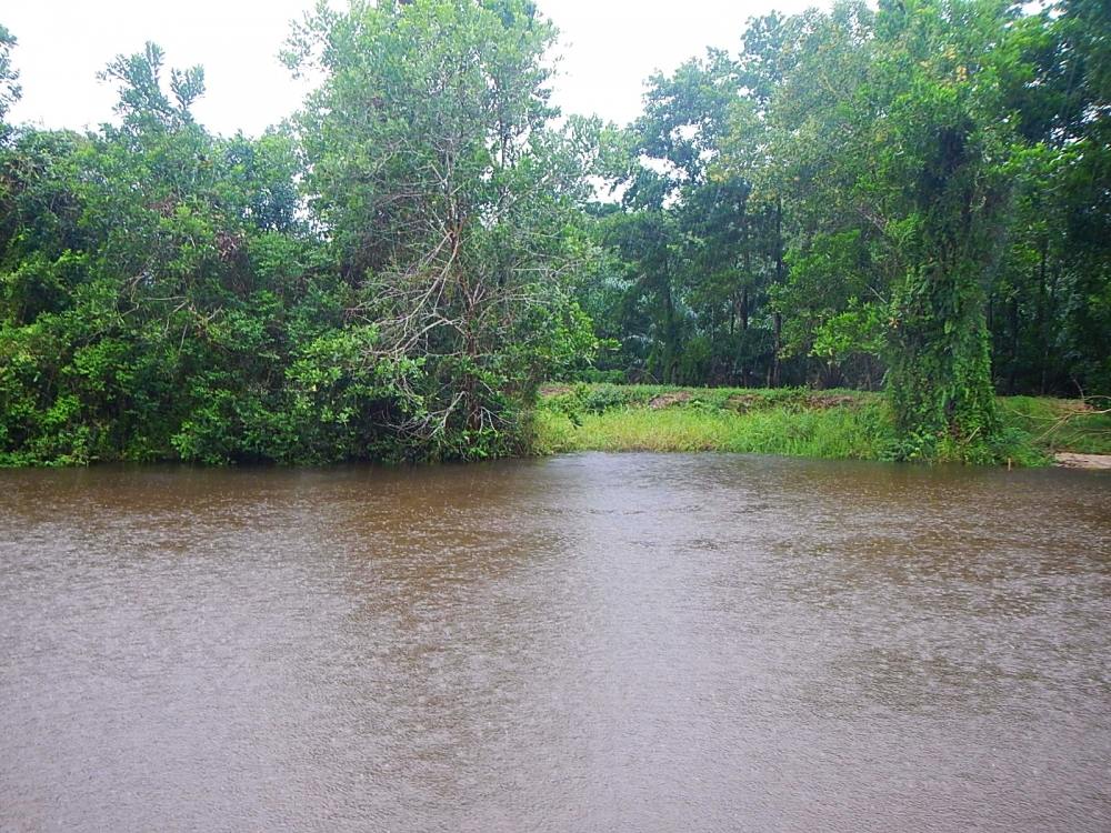 
 [center]พายเรือตากฝนเล่นเลยผม[/center]

