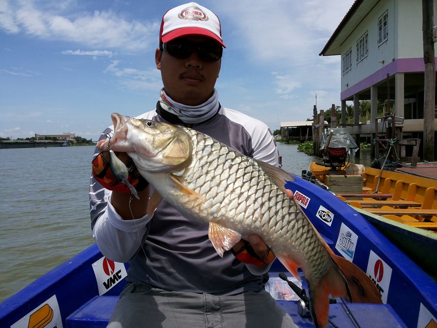 เจ้าพระยาไม่เคยผิดหวังเมื่อใช้ RAPALA.....