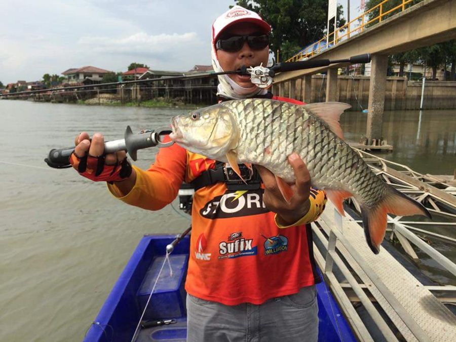 ปลากระสูบเป็นปลาเกมอีกชนิดนึงที่ผมหลงไหลในพละกำลังของมันเหยื่อ RAPALA ตอบสนองเป็นอย่างดีแอคชั่นส่ายแ