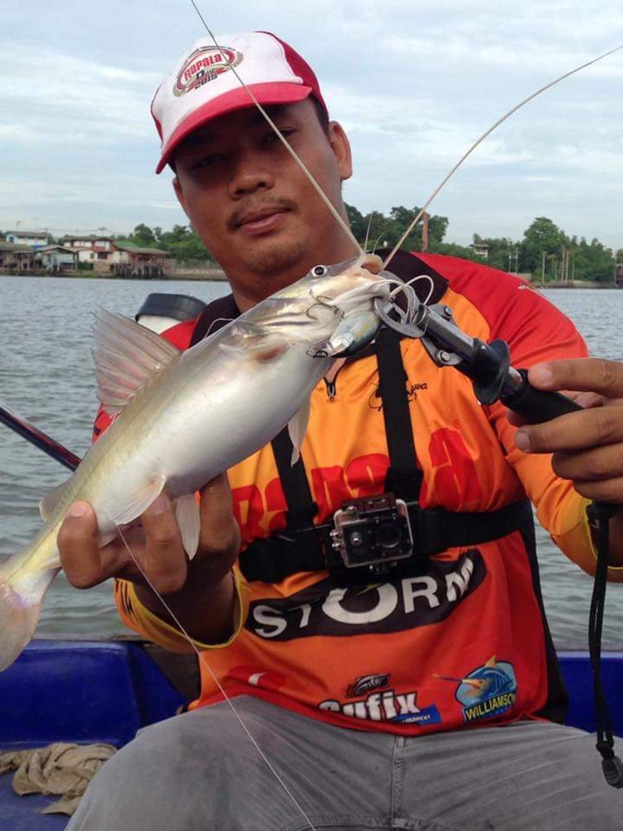 ปลากดเหลืองก็ชอบ RAPALA เช่นกันนะครับ
 :umh: :umh: :umh: :umh: :umh: