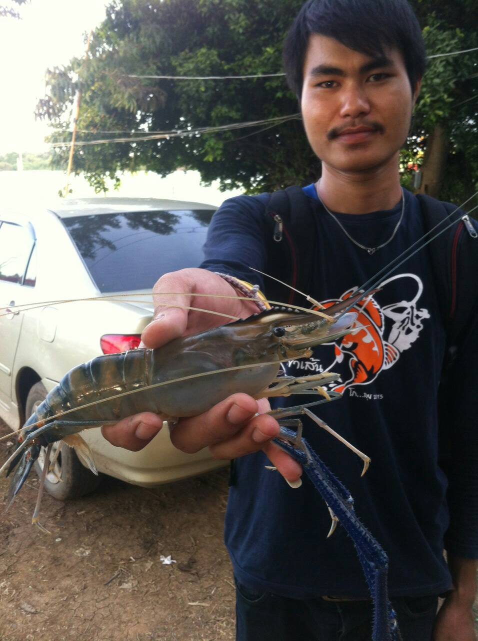 กุ้งก็พอมีตัวครับ
