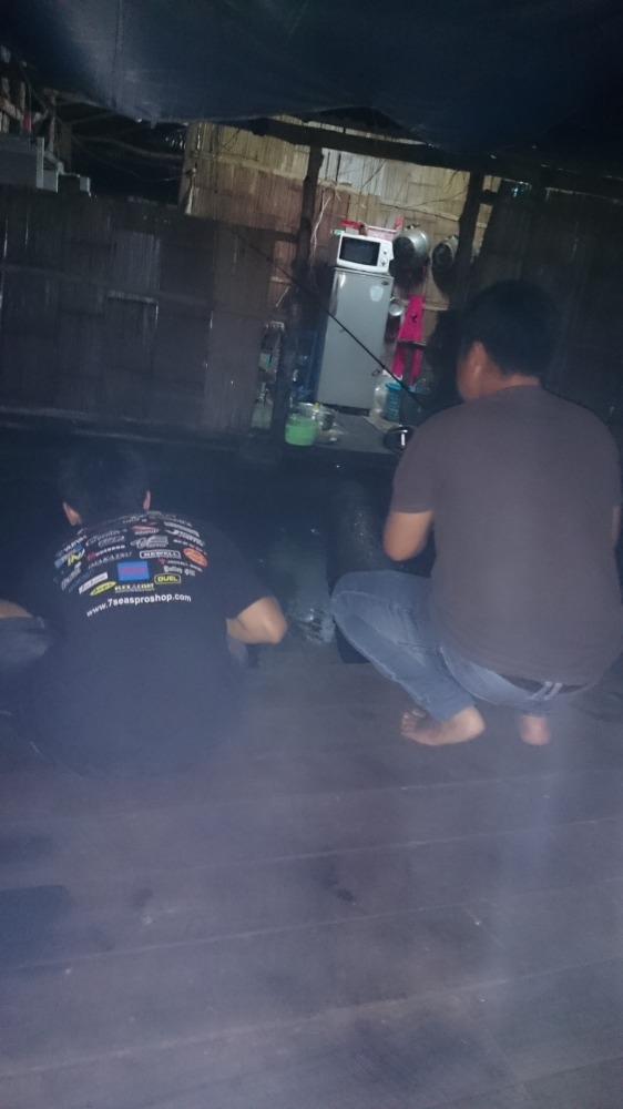 ขาดไม่ได้คือการตกปลาหน้าแพตอนกลางคืนครับ