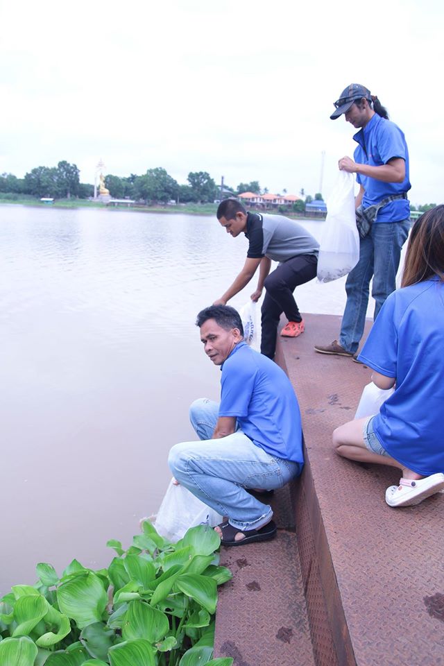  น้ากร ทีมสหายตกปลา คนนี้มาจากมาจากศรีษะเกศ กันเลยทีเดียว สุดยอดจริงๆขอบคุณนะครับ น้ากร:smile: :pros