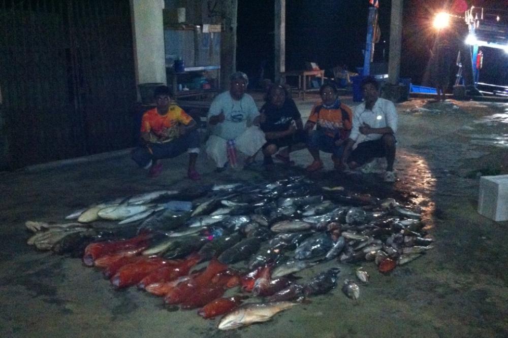 ขอบคุณไต๋เชียร ขอบคุณมิตรภาพในกลุ่มครับ :cheer: