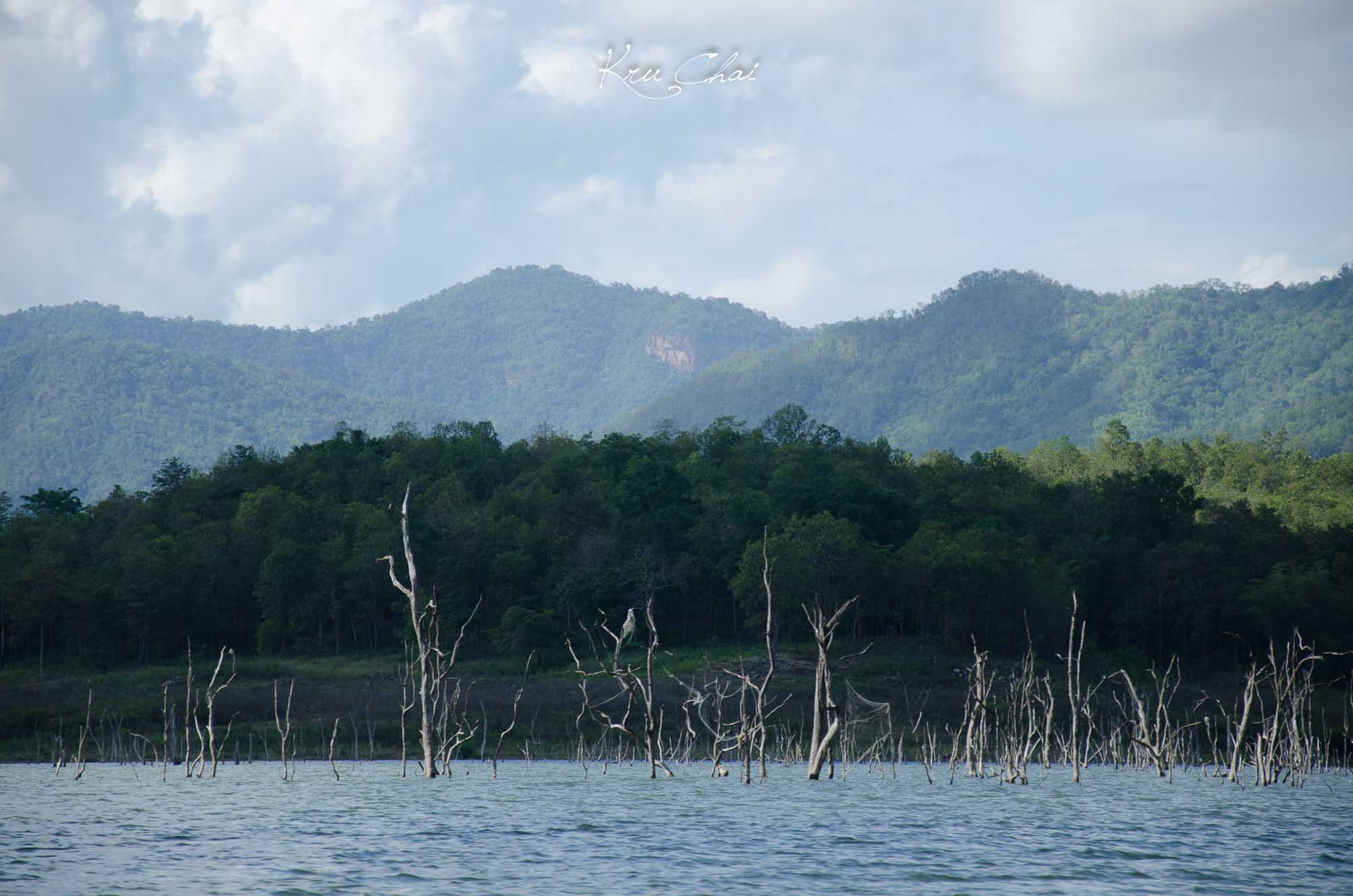 ทั้งบ่ายเรือลำผมที่ลงกับโปรเกรียง ไม่มีผลงานขึ้นเรือเลยครับ กัดหลุด กัดพลาดหมดเลยเจ็บใจจริง :grin: