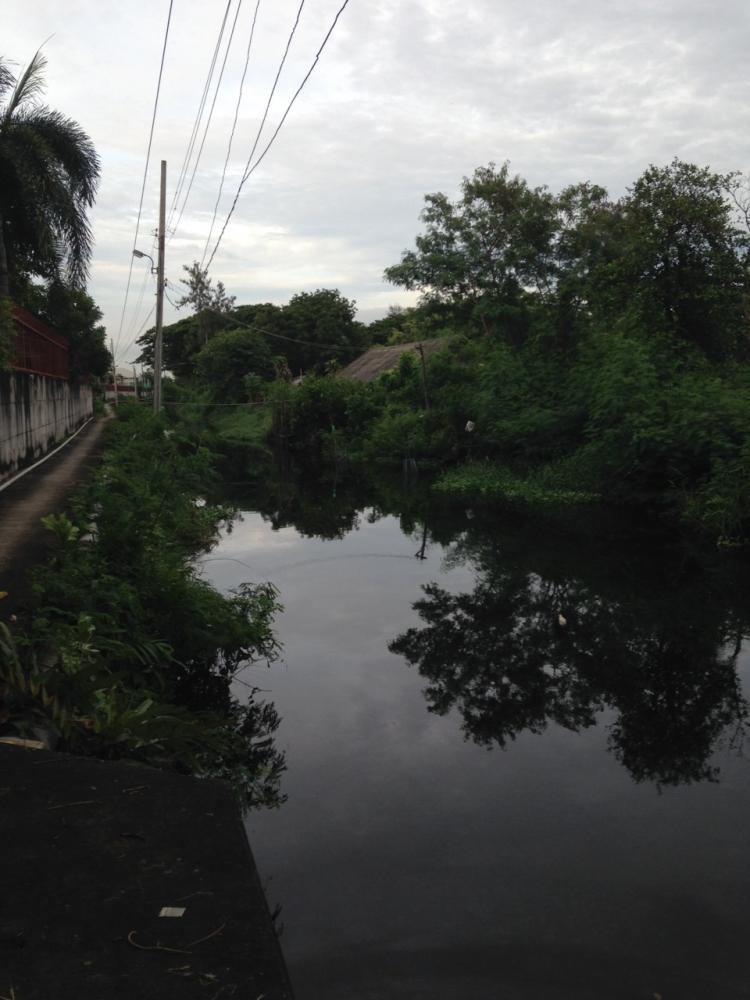 สภาพวันนี้น้ำดำมาก หลังฝนตกมาหนึ่งวันน้ำเสียจากกรุงเทพลงมาจึงเป็นเช่นนี้ :cool: :cool: :cool: