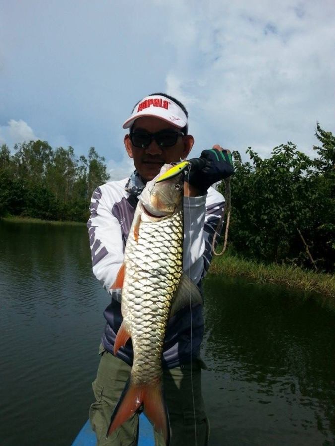 หล่อเต็มๆครับ กับกระสูบไซร์โล
 [b]RAPALA FLAT RAP FLR8[/b]
 :heart: :heart: :heart: :heart: