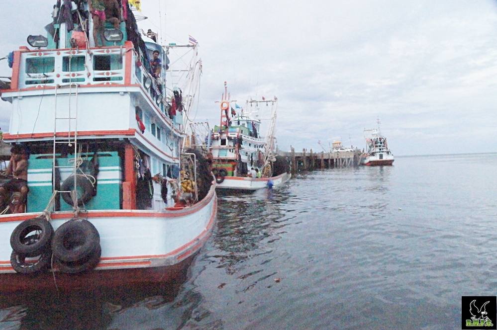  [center]กลับมาถึงท่าเรือแล้ว เดี๋ยวมาดูปลากันนะครับ.[/center]