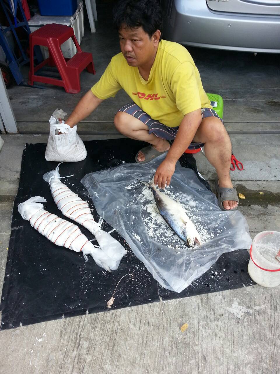 วางปลาลง