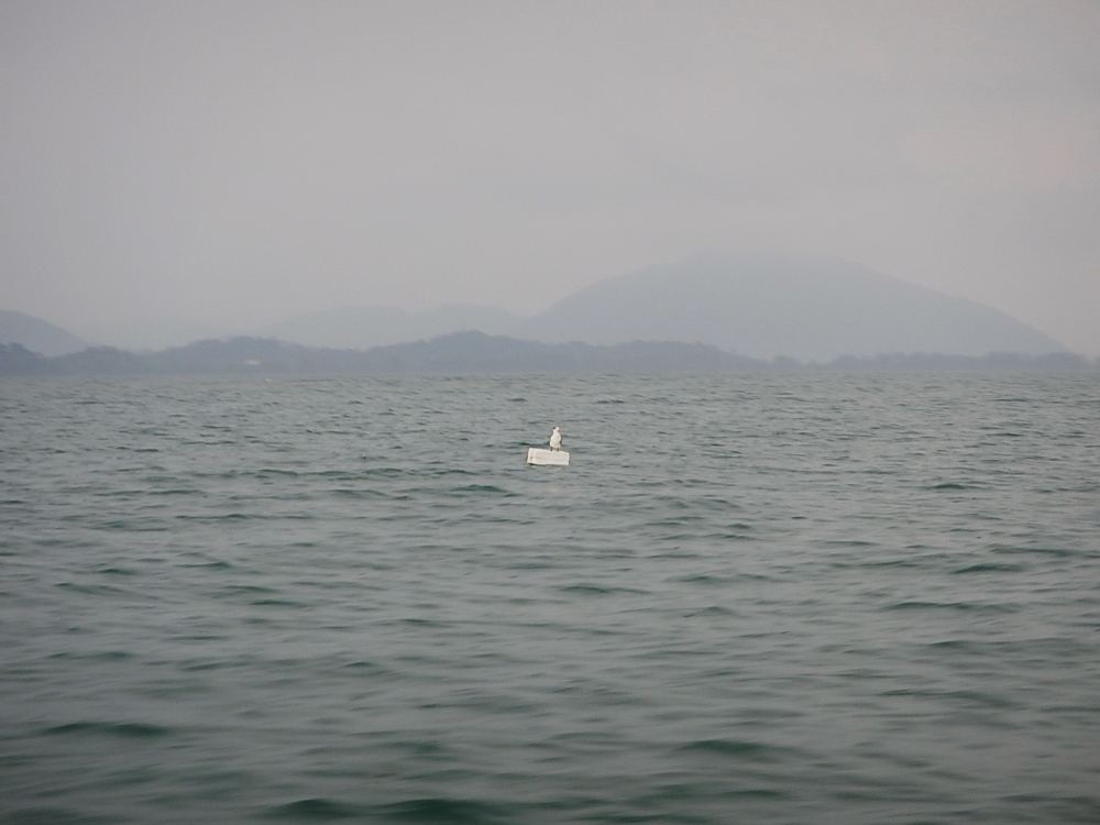 
 [center]บรรยากาศรอบๆตอนนั่งเรือกลับ    :grin:[/center]

