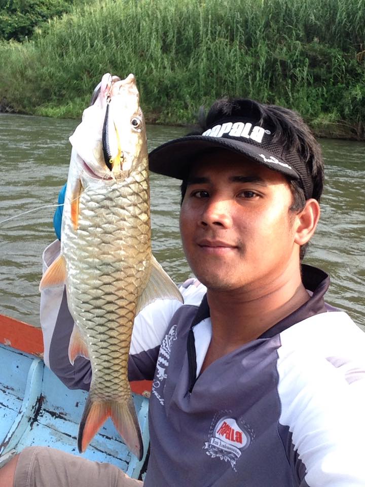  [b]ละก็ได้เห็นตัวสักทีครับ กระสูบต้นน้ำแก่งกระจาน[/b]

 [b]กัด Rapala Shad Rap คัน Storm Trickste