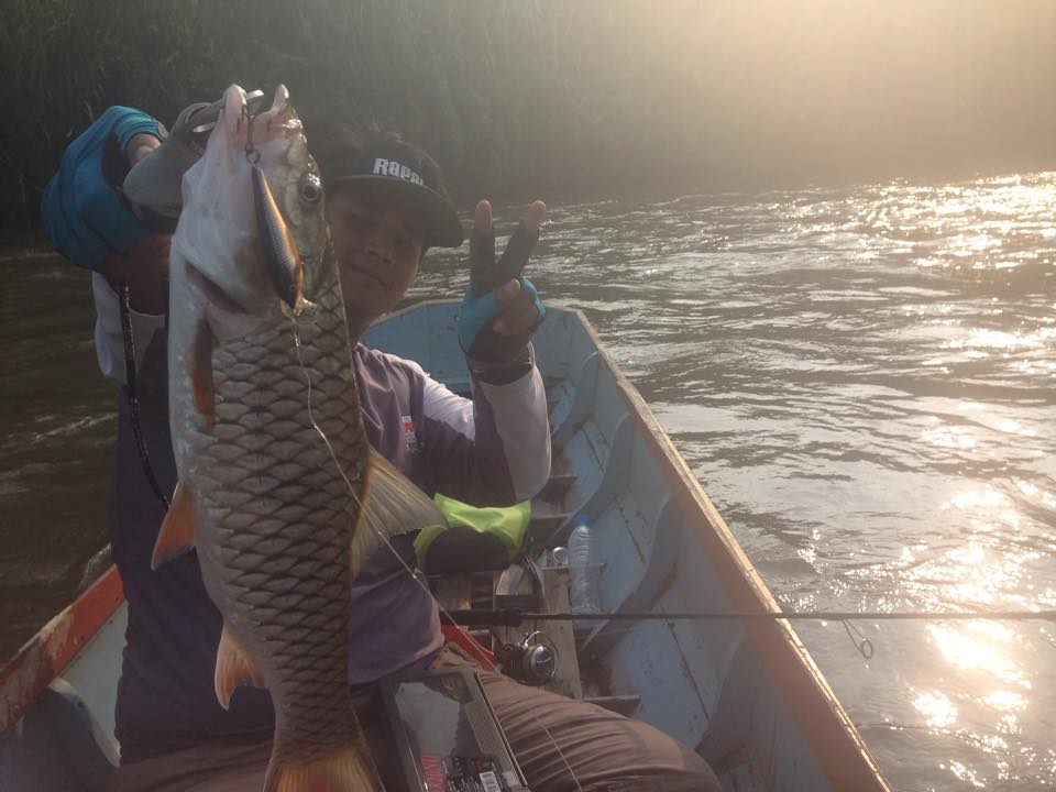  [b]ฟินจริงๆคับ ไซส์นี้ กดหนักๆ มันมาก[/b]

 [b]Lure : Rapala Shallow Shad Rap 5cm[/b]
 [b]Rod : 