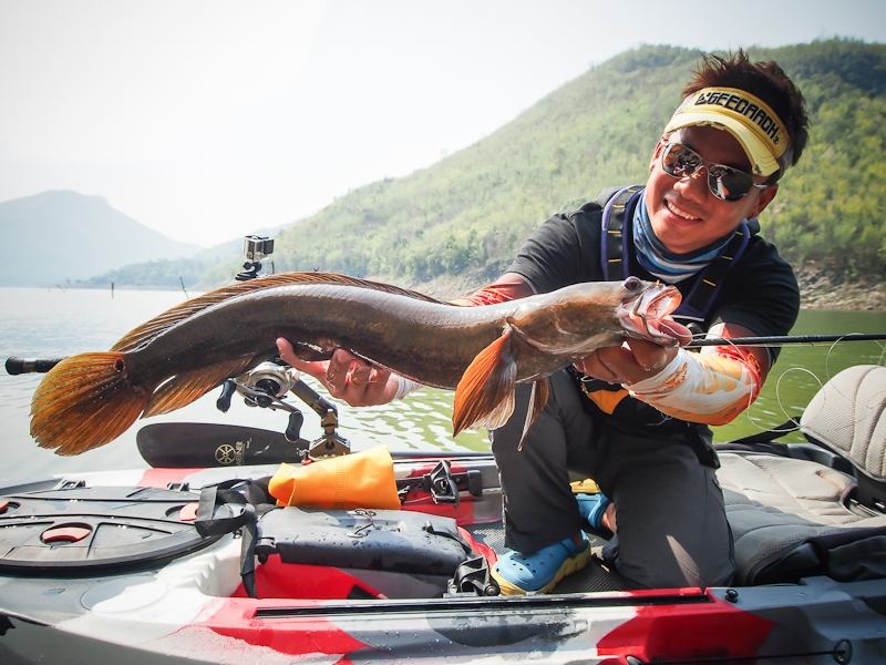  [center] [b] Rod: Geecrack DD Galaxxy Wildcard 69MH 12-20lbs [/b][/center]