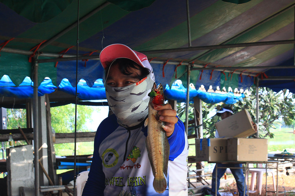 

  บรรยากาศรวมๆของการแข่งขัน  ในส่วนกล้องของผมเก็บได้เพียงเล็กน้อยโปรดติดตามชมจากกล้องของเพื่อนๆ 