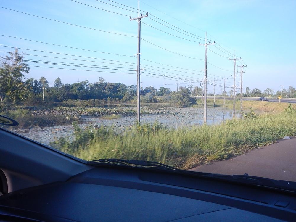 
 [center]ทางผ่านมีหมายสวยๆอยู่ข้างทางด้วย [/center]

