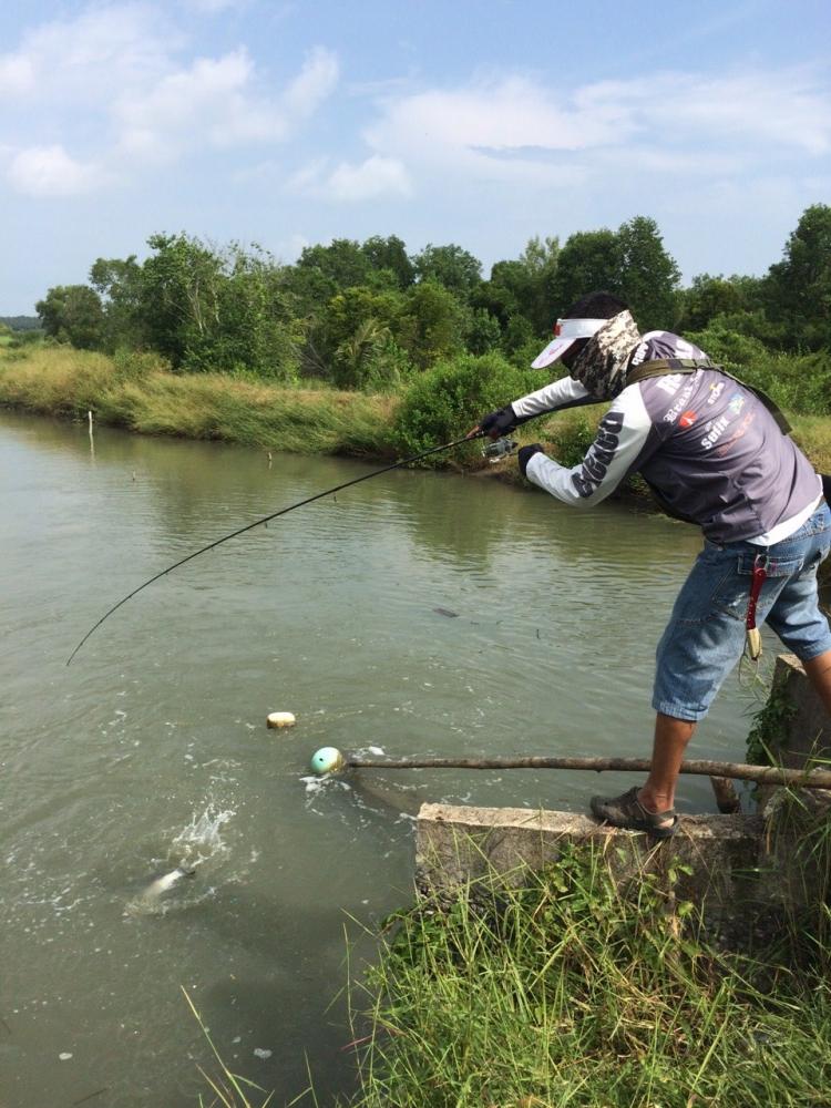 กะพงน้ำไหล ดูดเหยื่อ Rapala Coudown CD5 sinking ไปเต็มๆ
 :grin: :grin: :grin: :grin: :grin: :grin: 