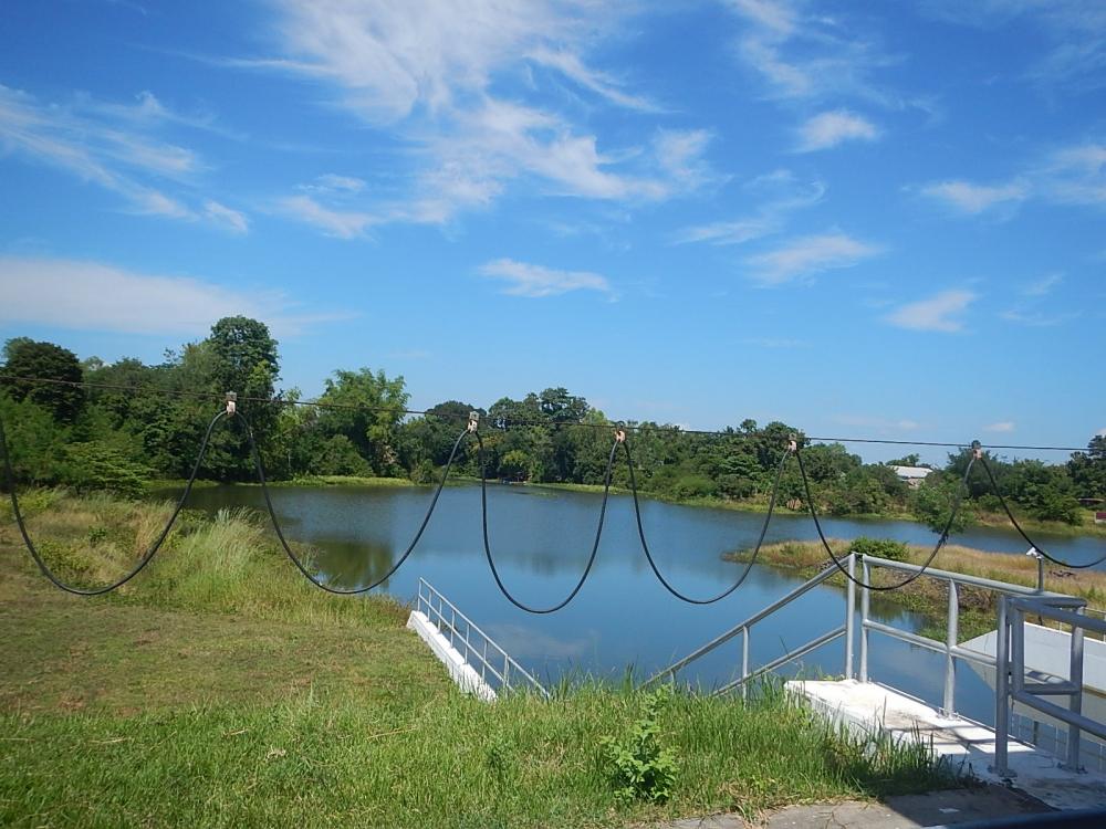 
 [center]ด้านทางนํ้าออกของฝาย[/center]

