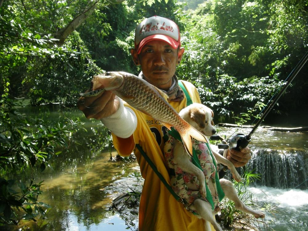 ตะเลงฟัด