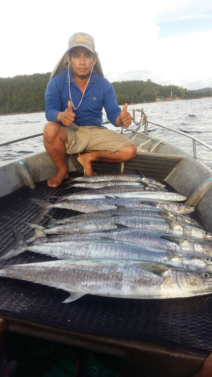 วันนี้มีเรือออกไปล่าอินทรี20กว่าลำ ได้มากบ้างน้อยบ้าง ปีนี้ทะเลกลับมาสมบูรณ์ ปลาใหญ่เข้ามาใกล้ฝั่งมา