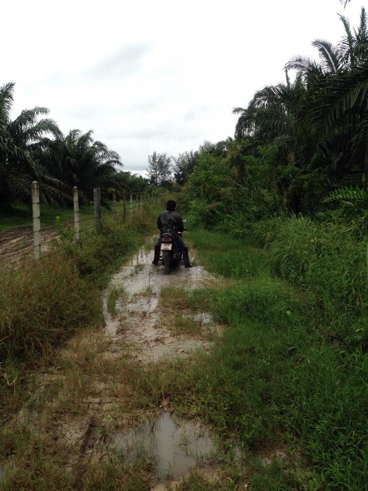   ....ช่วงนี้ชุมพรบ้านผม ฝนค่อนข้างตกทุกวัน....  :grin: :grin: :smile: