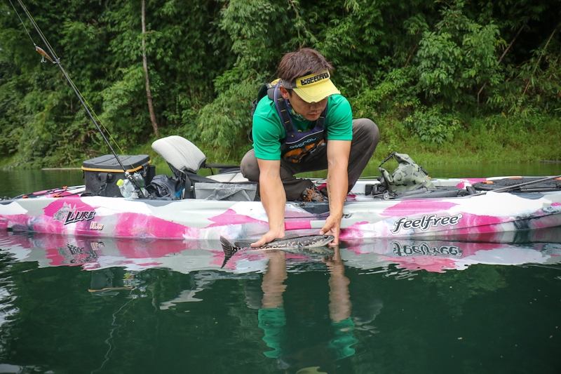  [center] [b] 

Kayak: Feelfree Lure 11.5

Believe in Catch and Release

ยึดมั่นตกแล้วปล่อย [/