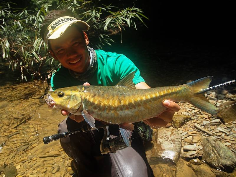  [center] [b] 

Rod: Geecrack DD Galaxxy GXY-64L Marionette 3-8lb

Lure: Geecrack Leaf Shrimp 2.